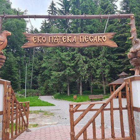 Mountain Paradise In Aparthotel Borovets Gardens Exteriér fotografie