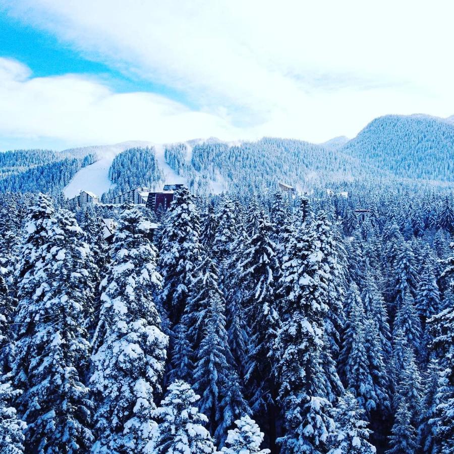 Mountain Paradise In Aparthotel Borovets Gardens Exteriér fotografie